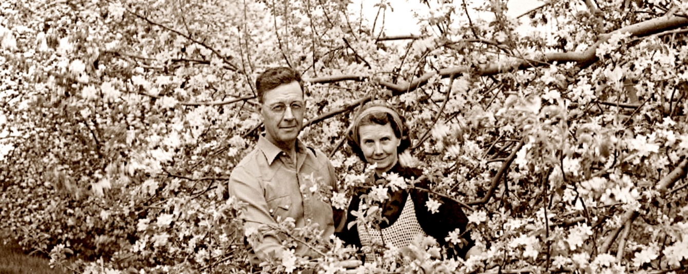 Richard and Laurine Kimmel