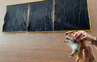 “Broken Armadillo Triptych” 8'x23' embroidery/textile, and Emma the three-banded armadillo