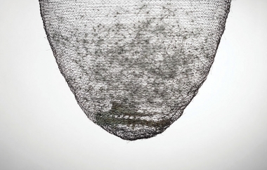 Image: The Offering Bowl #3, 2019, detail. Artist's hair, dandelion seed fiber, bird bones, glue